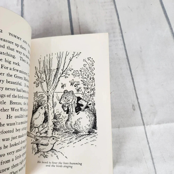 Vintage 1920s Hardcover Storybook Tommy  and the Wishing Stone Illustrated - Picture 13 of 15